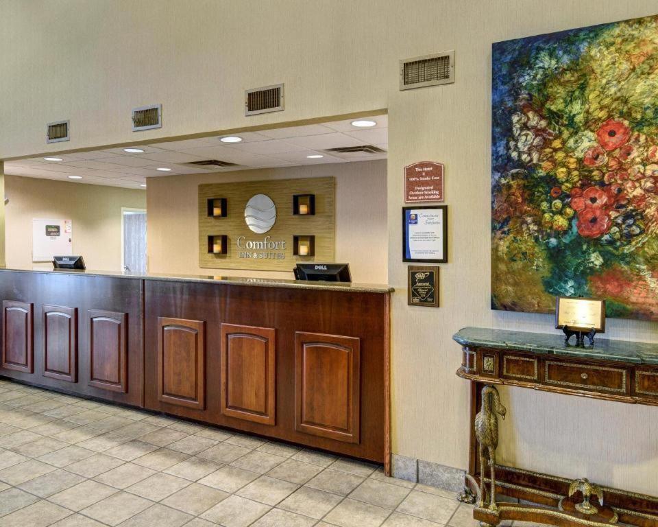 Comfort Inn & Suites Hot Springs Central Ngoại thất bức ảnh